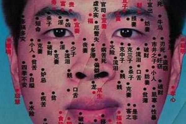 看相说我命短，解读面相与命运的奥秘