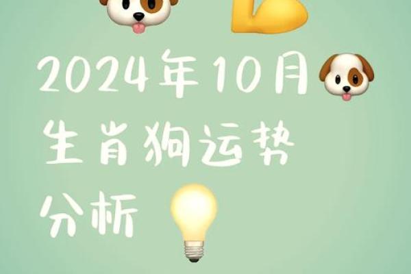 农历十月出身的狗命运解析：细说秋犬的性格与运势