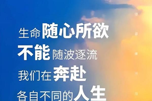 1980年出生的男性命运与人生道路的探讨