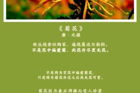 “命贵不染风尘女”：探寻古韵与现代女性的灵魂之美