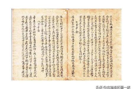 探索九条满命的独特特效:超越寻常的命理奥秘