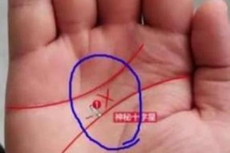 命理分析:伤食运差的深层含义与应对策略