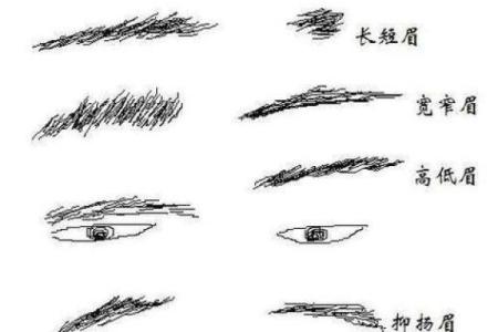 揭秘男人眉型与幸福婚姻的神秘联系，找到你的理想伴侣！