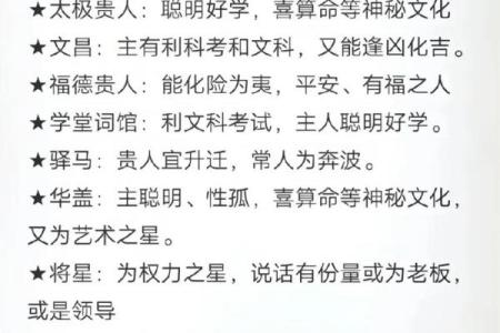 男乙亥年辛巳月的命理解析与人生智慧