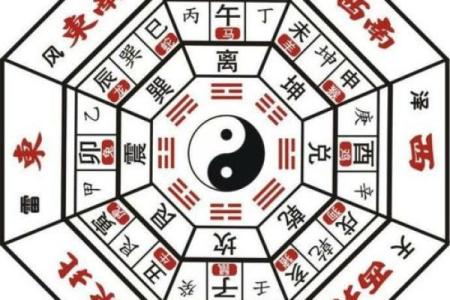 探秘命理：属鼠与属蛇的命运交错与相生相克