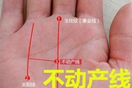 命理学视角下的韭菜命:探索命运与财富的关系