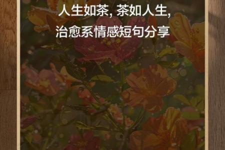 女生说“爱你如命”的深意与情感真谛