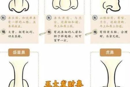 命里多金女人的颜色忌讳与财富运势的关系探析