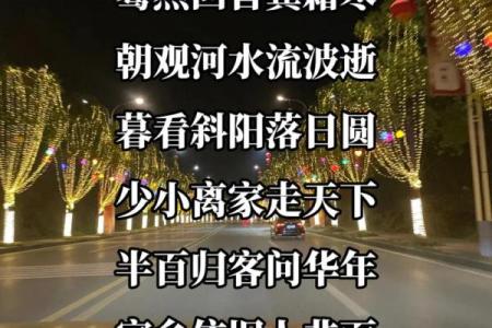 命里只有舅子命，揭示了人生的独特路径与选择