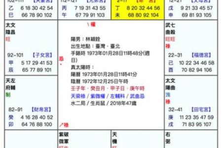 事业突破的命盘解析:如何从星象看职业成功的可能性