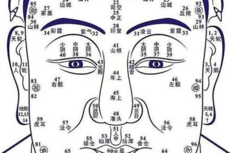 男性石榴木命的意义与影响:探索命理背后的智慧