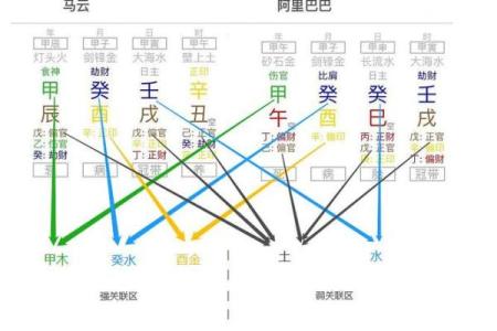 马云命理解析：他是木命还是火命？深入探讨背后的智慧与哲学