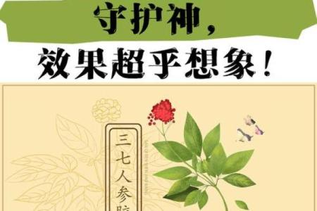 命里伤官的秘密:揭开影响你命运的神秘面纱
