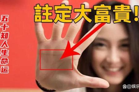 女人为何追求大富大贵的命,人生底色与自我价值的绽放