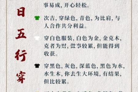 明年五月十九日、你命中的象征与解读