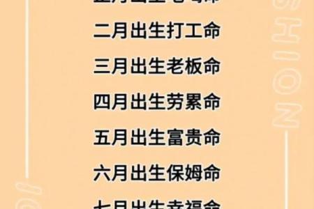 老板的命、打工的命,还有什么命?让我们一起探讨命运的多元意义!