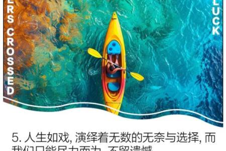 探索“烂命”现象:当代生活的无奈与选择