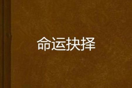 命运与选择：人生中的成语智慧探讨