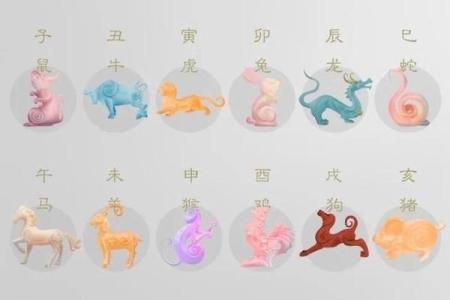 龙命理解析:属龙女性的命理特点与适合的发展方向