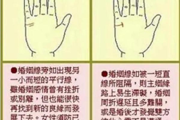 揭秘手相：分析你的命运与性格，了解如何运用手相改变人生！