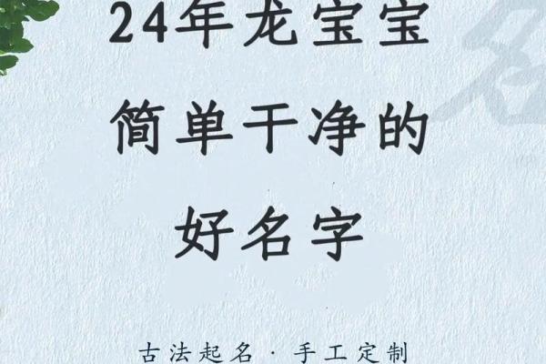 2024年兔宝宝命格解析：为未来铺就幸福之路
