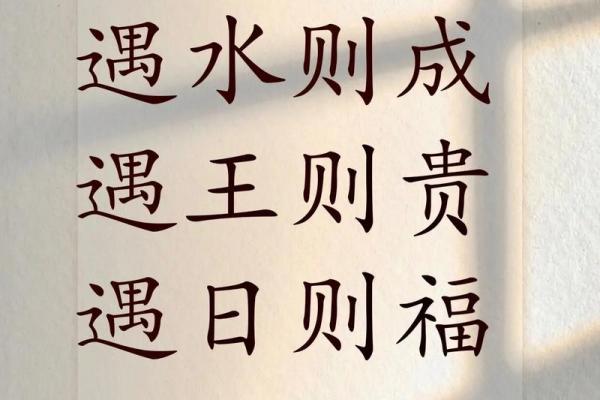2024年兔宝宝命格解析：为未来铺就幸福之路