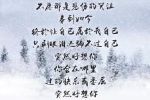 命里缺个你：探寻歌词背后的深意与情感