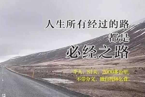 命局中的正印：智慧与慈爱并存的人生之路