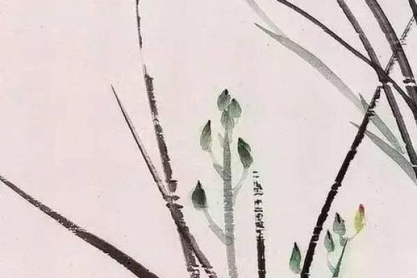 空谷幽兰命：藏于寂静中的绝世芬芳探秘
