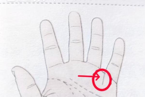 你的命运如何？看看你的命格，解读富贵命背后的秘密！