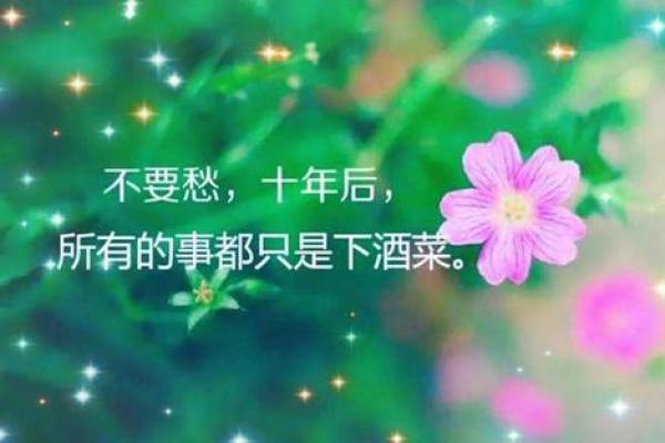 命运的交响曲：当命运与机遇相遇时的变幻故事
