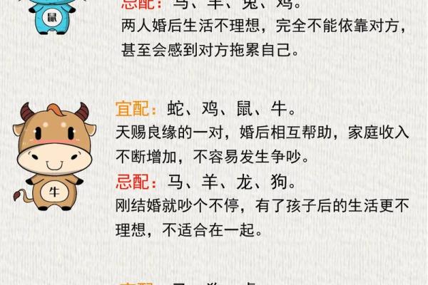 探秘命理：解读“6两9”的深意与人生启示