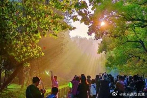 男生四月初四出生：命运与性格的奇妙交织
