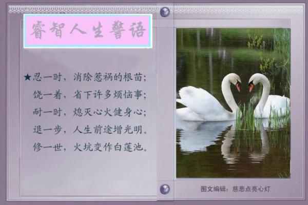 卖豆腐的命：平凡生活中的深刻哲理与人生智慧
