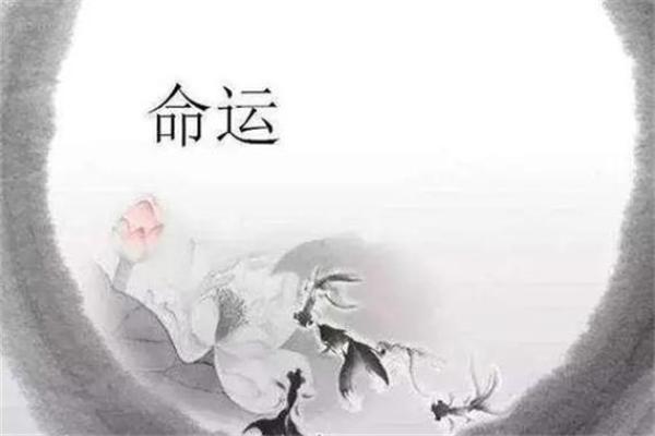 命太大的孩子：从命理看人生发展路径与机遇