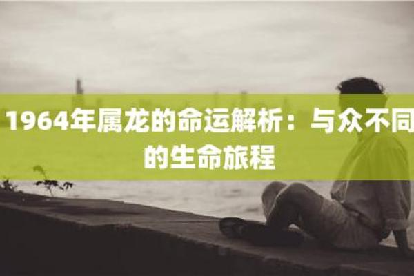 龙属性的命运解析：探索龙的神秘与力量