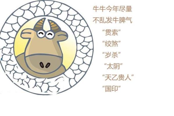命局刑克太岁：深入解析其背后的含义与影响