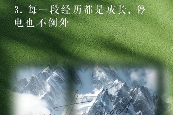 零四年的孩子：命运与成长的多彩篇章