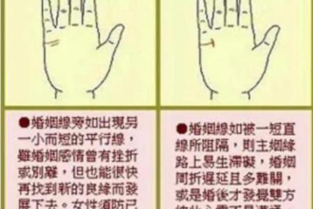 揭秘手相：分析你的命运与性格，了解如何运用手相改变人生！