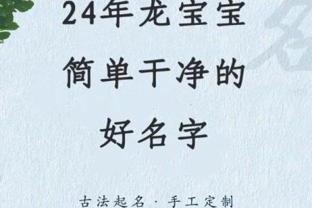 2024年兔宝宝命格解析：为未来铺就幸福之路