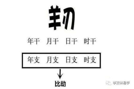 女命日支坐羊刃的深刻含义与命理解析