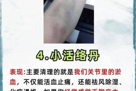 如何通过中成药调理身体,顺应命运转变的智慧之道