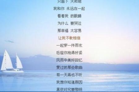 命里缺个你:探寻歌词背后的深意与情感