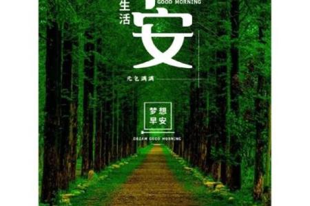 解读“没奔波命”的深刻含义与人生思考