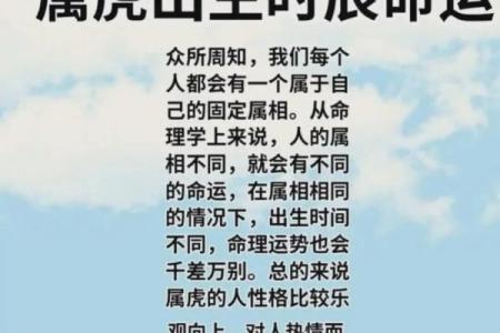 探秘农历八月出生之人的命运与个性特征