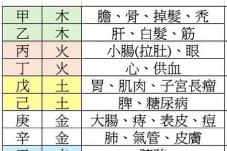 从五行看男性命运：你的五行属性决定了什么？