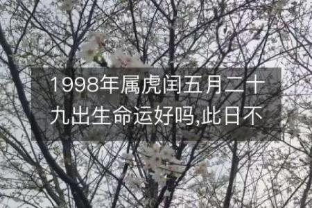 农历五月出生的虎命人，性格解析与命运走向