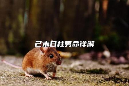 男命日柱带红艳:解读其背后的深意与象征