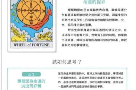 探寻命运之轮：如何用命理解析人生的种种奥秘