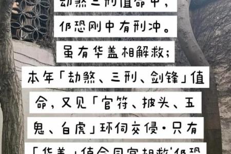 深入探讨命犯劫煞的深层原因及其影响